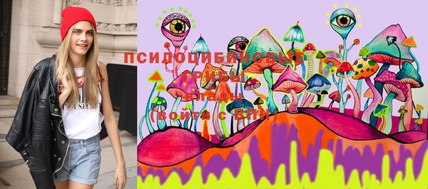 каннабис Алзамай